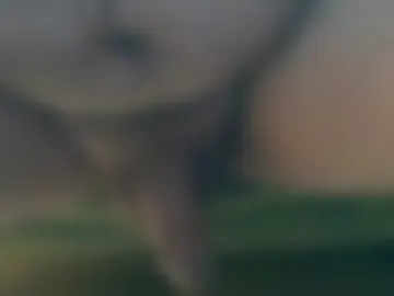 lost_angel75 photo 5