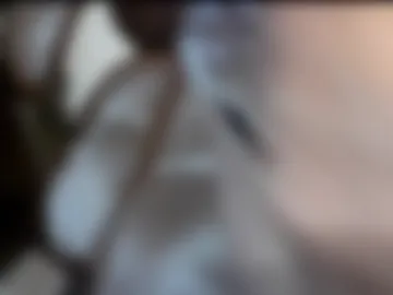 love2bingarters photo 2