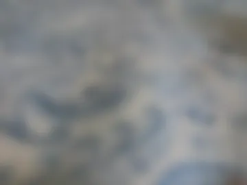 lovelace390 webcam preview