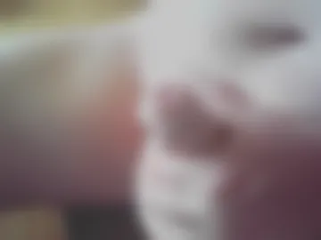 lovelygerman39 photo 3