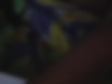 loveshorts87 live webcam preview