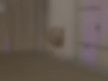 luanaxdess live webcam preview