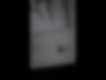 luckyfalcon2022 photo 2