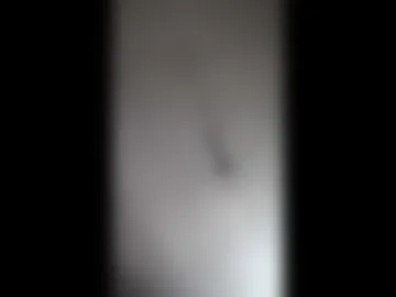 luisrey2908956360 live webcam preview