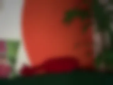 luisverd live webcam preview