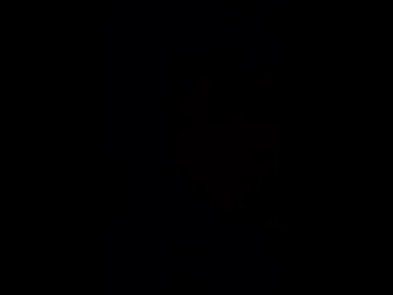 luke786019 photo 2