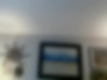 lulamorehead photo 2