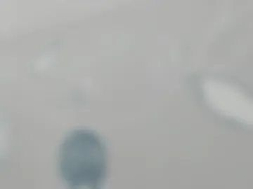 luna_evaa webcam preview