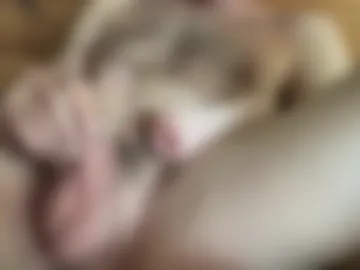 luv_it_together live webcam preview