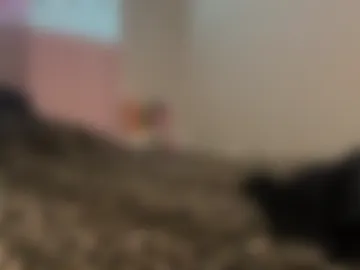 maddiiemayyy photo 2