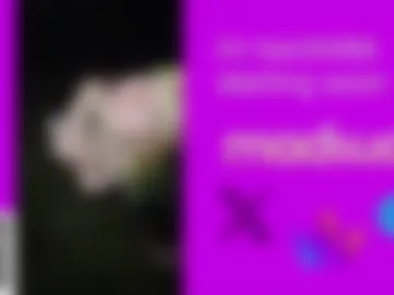 madsucc photo 7