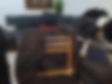 maialinofriuli live webcam preview