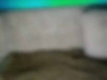maisonbastian live webcam preview