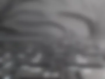 makinddye live webcam preview