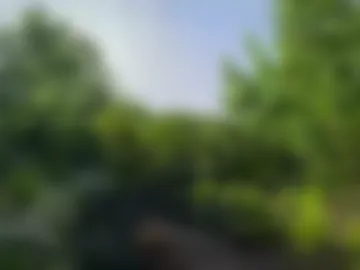 makingmoans webcam preview