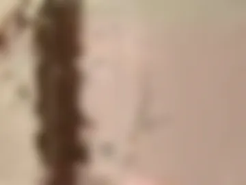 malex2505 live webcam preview