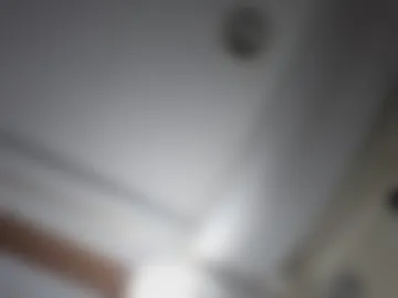 manifestit1111 live webcam preview