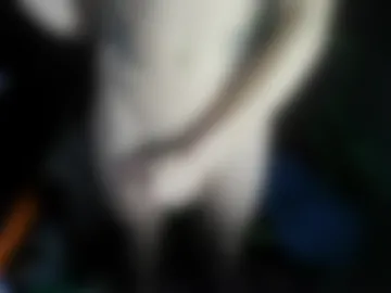 manmanoverthrf photo 4