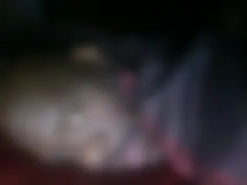manpntheprowll webcam preview