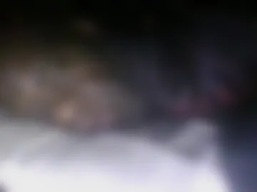manpntheprowll webcam preview