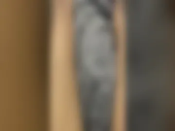mans23_24 live webcam preview