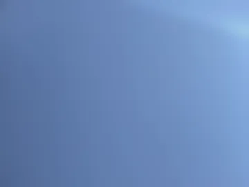 mara_betancurt photo 4