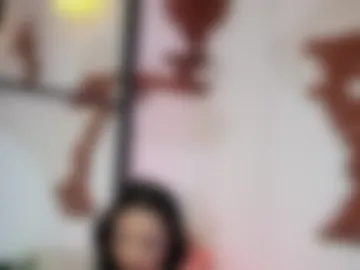 maraciel webcam preview