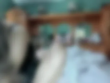 mariahpinkkitty photo 3