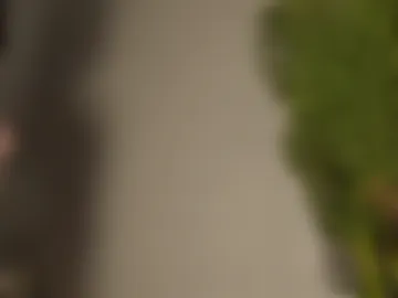 maribett webcam preview