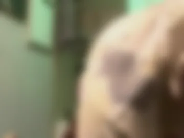 markmac30308 live webcam preview