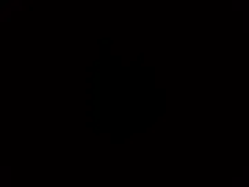 marlonfit live webcam preview