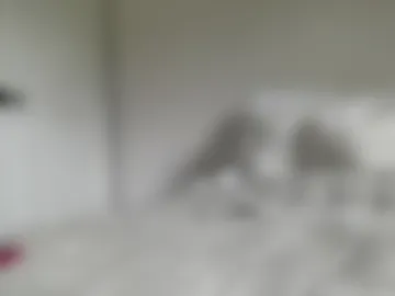 marrieblue live webcam preview