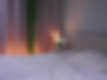 masakoamodei photo 8