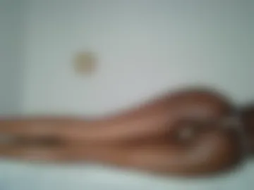 masked_shy_girl photo 9