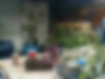 masterdurt live webcam preview
