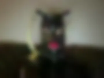 mastergolem live webcam preview