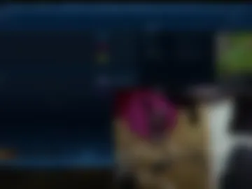 matikitten live webcam preview