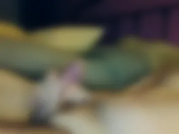 matrixdog69 live webcam preview