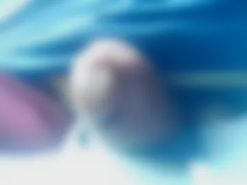 matschell webcam preview