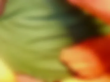 mattydatty247 photo 2