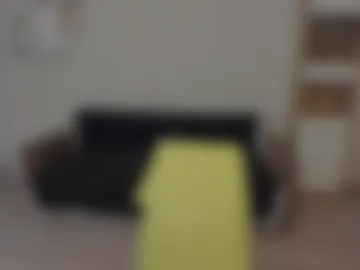 max_foks_ webcam preview