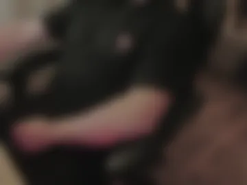 maxcamlove webcam preview