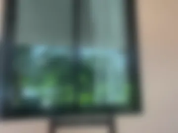 maxim_burn webcam preview