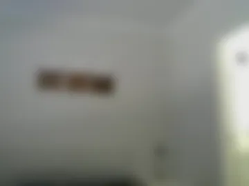 maximus_oreally photo 6