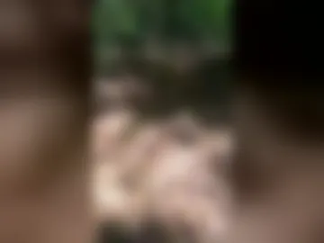 mayaninoccent live webcam preview