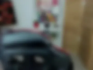 mekurisu webcam preview