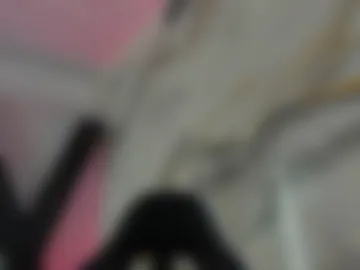 melisabostton_ webcam preview