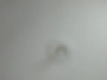 melissaalcapone webcam preview