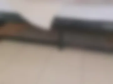 memphiswilliams photo 4