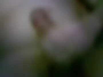 meruemds live webcam preview